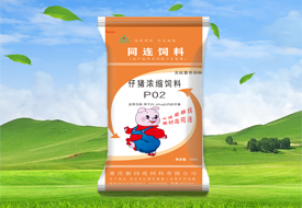 P02仔猪浓缩饲料